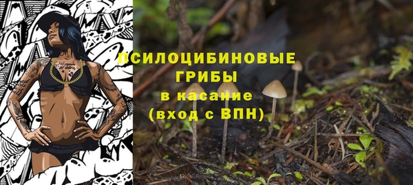 спайс Алексеевка