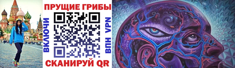 Псилоцибиновые грибы GOLDEN TEACHER  Лесной 